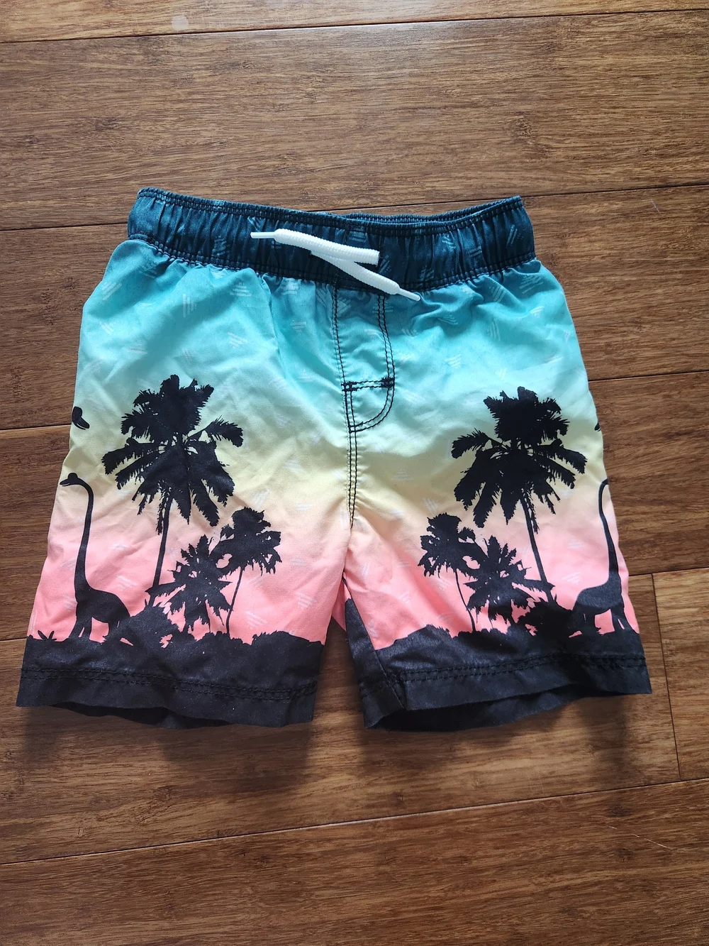 Old Navy Boys Multi-Color Dinosaur & Palm Tree Swim Trunks 2t